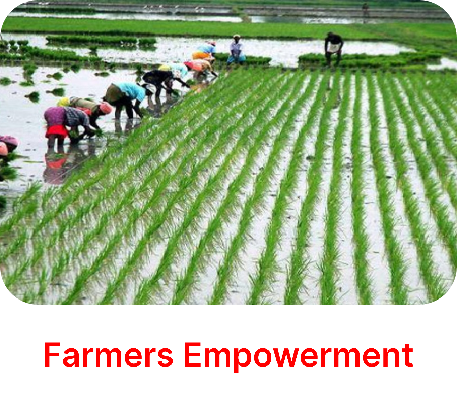 Farmers Empowerment