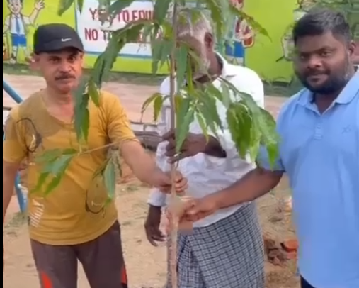 இ சையத் அலிக்கான் அவர்களின் ஏற்பாட்டில் சென்னை மாநகராட்சிக்கு சொந்தமான நான்காவது ஐந்தாவது பிளாக்கில் உள்ள விளையாட்டு திடலில் இன்று அசோக மரம் பொதுமக்களின் ஆதரவோடு பொதுமக்களின் திருகரங்களால் நடப்பட்டது